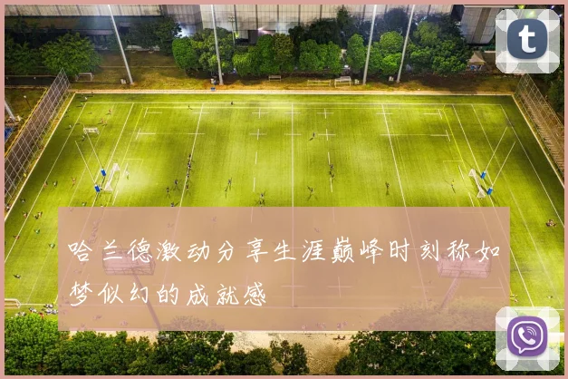 哈兰德激动分享生涯巅峰时刻称如梦似幻的成就感
