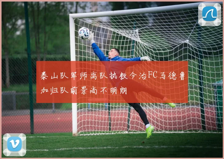 泰山队军师离队执教今治FC马德鲁加归队前景尚不明朗